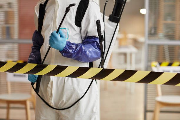 Professional Blood Cleanup technician working in Milton, WA